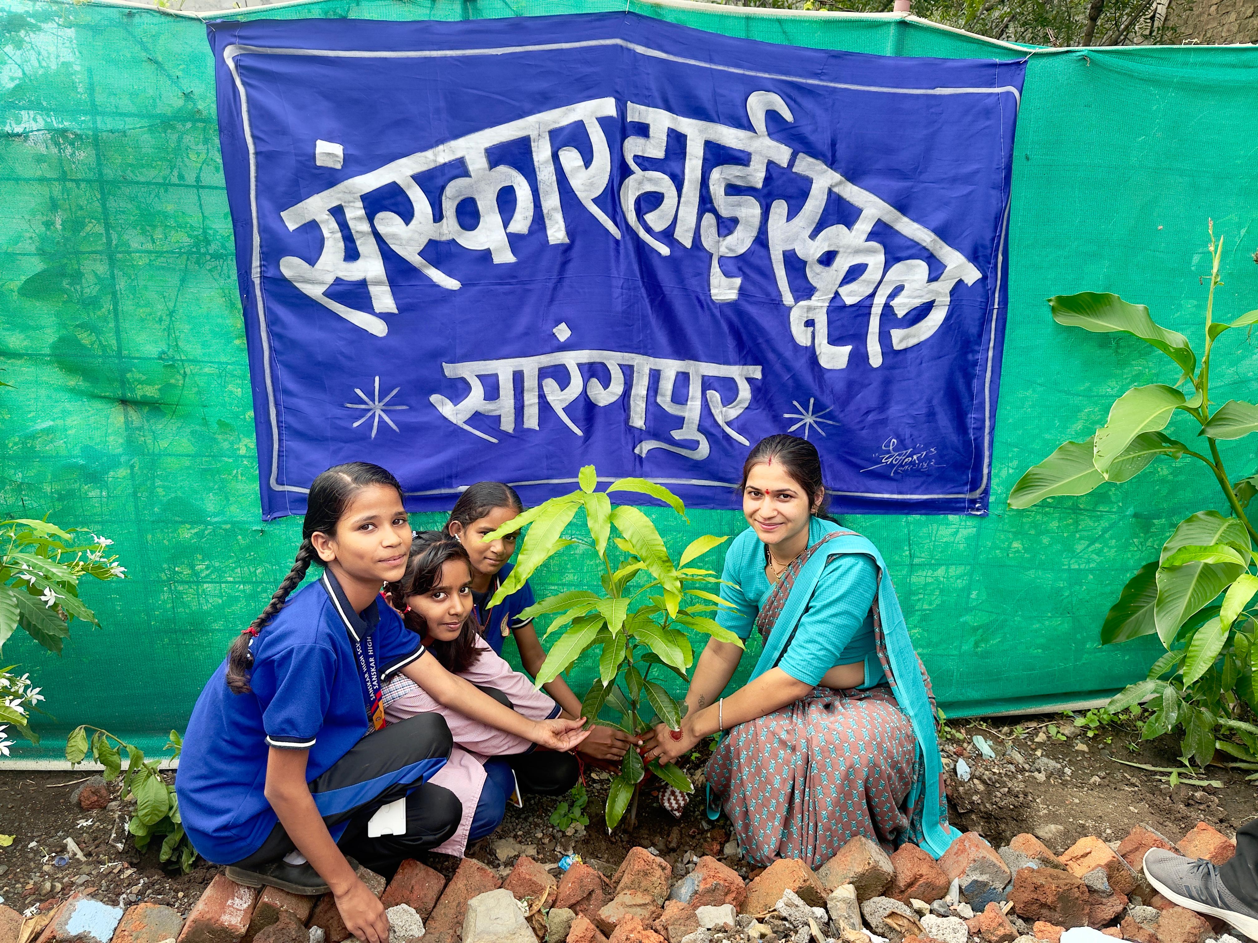 Tree Plantation Photo